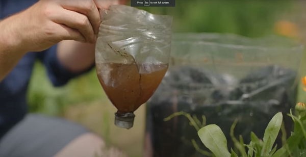 A cut plastic bottle filled with some brown liquid