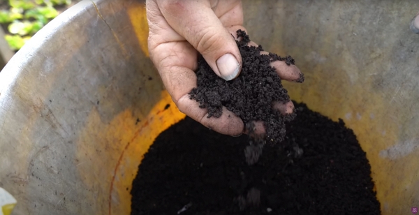 Worm compost