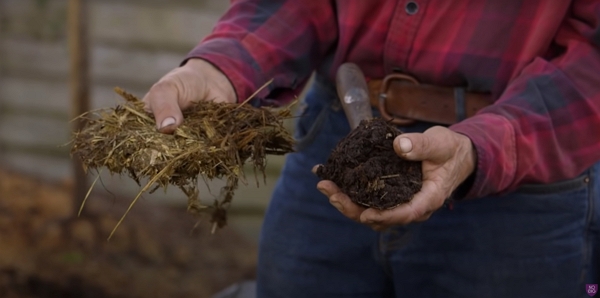 Fresh versus mature horse manure