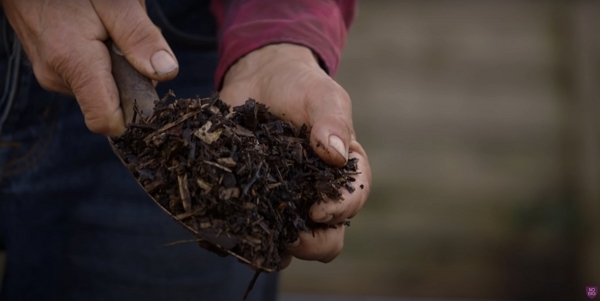 Woodchip compost