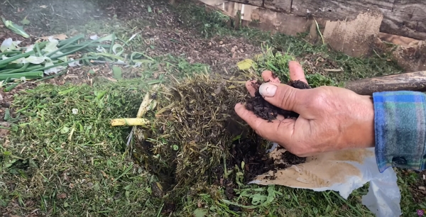 Very young compost in the making with a good mix of green materials (grass clippings and vegetables waste) and brown materials (soil, woodchips, leaves, etc.)