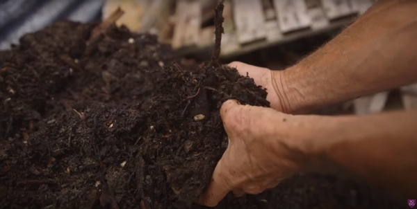 Compost is ready