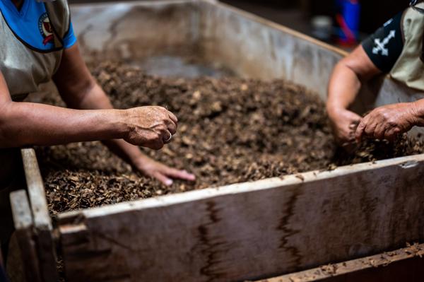 Two persons sorting a pallet compost heap