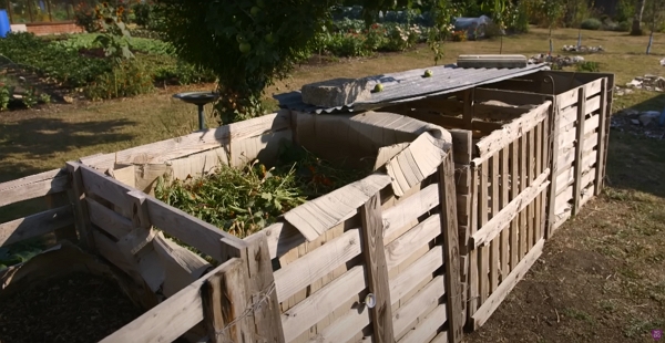 Close up of the compost heap