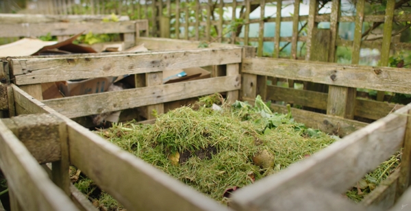 Grass on top of a compost heap