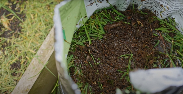 Dirt and grass in a bag