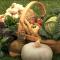 A basket of vegetables