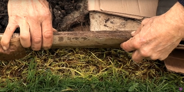 The difference between three months covering of grass and non-covered grass