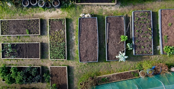 An aerial view of a garden