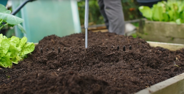 Compost applied on a bed