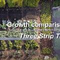 Aerial view of Homeacre garden with the title of the vlog