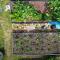 Someone watering a path between 2 garden beds