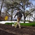 A man in a garden sowing seed on a garden bed