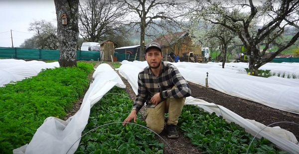 Moreno is explaining how spinach is a great crop for the end of winter and the beginning of spring