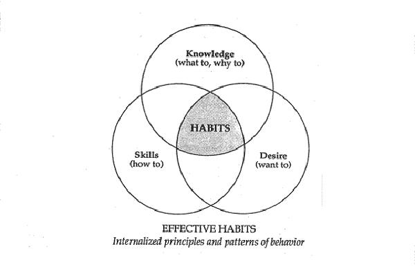 Internalized principles and patterns of behavior