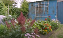 A small garden full of flowers