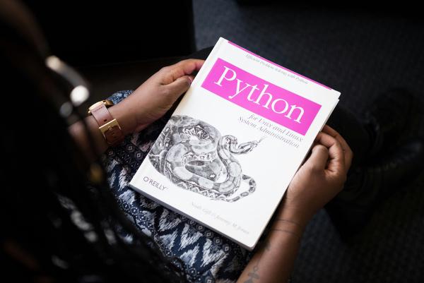 Python programming book