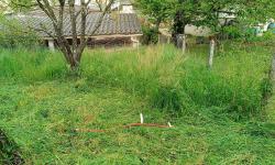 Mowing in progress at my home, April 27, 2025.