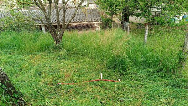 Mowing in progress at my home, April 27, 2025.