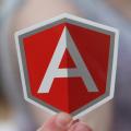 The Angular logo in the hand of someone