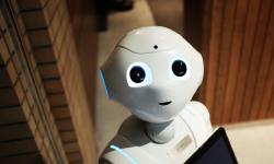 White robot looking at the camera